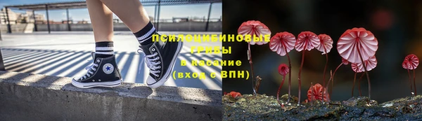 экстази Богородицк