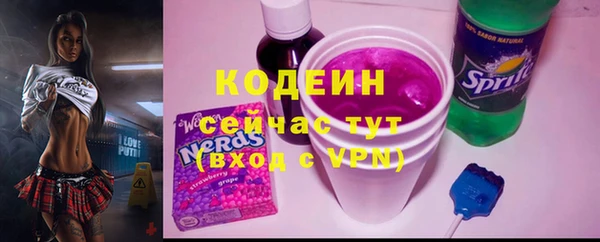 МДПВ Богородск