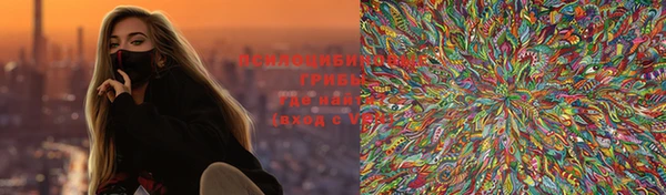 экстази Богородицк
