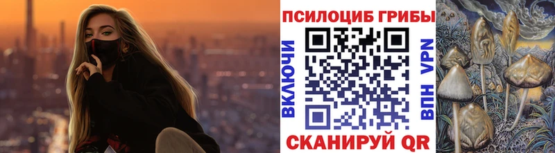 гидра ТОР Красновишерск Псилоцибиновые грибы мухоморы
